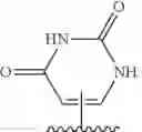Fig. 28 - ADENOSINE ANALOGS AND THEIR USE