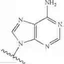 Fig. 43 - ADENOSINE ANALOGS AND THEIR USE