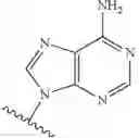 Fig. 56 - ADENOSINE ANALOGS AND THEIR USE