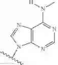 Fig. 58 - ADENOSINE ANALOGS AND THEIR USE