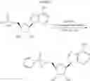 Fig. 65 - ADENOSINE ANALOGS AND THEIR USE