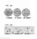 Fig. 06 - COMPOSITION OF MESENCHYMAL STEM CELLS