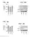 Fig. 07 - COMPOSITION OF MESENCHYMAL STEM CELLS