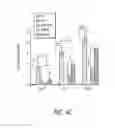 Fig. 13 - COMPOSITION OF MESENCHYMAL STEM CELLS