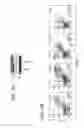 Fig. 17 - COMPOSITION OF MESENCHYMAL STEM CELLS