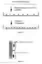 Fig. 10 - USE OF MESOTHELIAL CELLS IN TISSUE BIOENGINEERING AND ARTIFICIAL TISSUES