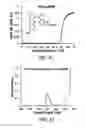 Fig. 03 - COMPOSITION FOR WOUND-HEALING COMPRISING ADULT STEM CELLS AND ELASTIN-LIKE POLYPEPTIDES