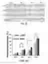 Fig. 06 - COMPOSITION FOR WOUND-HEALING COMPRISING ADULT STEM CELLS AND ELASTIN-LIKE POLYPEPTIDES