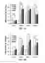 Fig. 08 - COMPOSITION FOR WOUND-HEALING COMPRISING ADULT STEM CELLS AND ELASTIN-LIKE POLYPEPTIDES