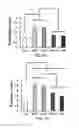 Fig. 14 - COMPOSITION FOR WOUND-HEALING COMPRISING ADULT STEM CELLS AND ELASTIN-LIKE POLYPEPTIDES