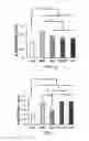 Fig. 15 - COMPOSITION FOR WOUND-HEALING COMPRISING ADULT STEM CELLS AND ELASTIN-LIKE POLYPEPTIDES