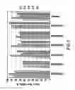 Fig. 02 - Placental stem cell populations