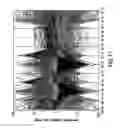 Fig. 12 - Placental stem cell populations