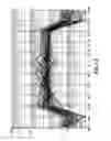 Fig. 14 - Placental stem cell populations