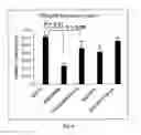 Fig. 05 - Purified amniotic membrane compositions and methods of use