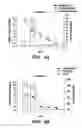 Fig. 03 - METHODS OF ISOLATING MICROORGANISMS AND USES THEREOF