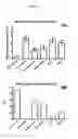 Fig. 02 - PROBIOTIC BIFIDOBACTERIUM LONGUM