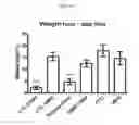 Fig. 03 - PROBIOTIC BIFIDOBACTERIUM LONGUM