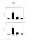 Fig. 03 - Lactobacillus brevis G-101 strain and use thereof