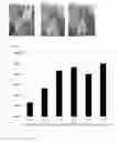 Fig. 02 - Composition for the treatment of neurobehavioral disorders