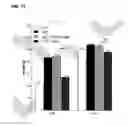 Fig. 35 - Nutritional supplements containing a peptide component and uses thereof