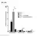 Fig. 37 - Nutritional supplements containing a peptide component and uses thereof