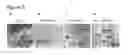 Fig. 05 - Method for Inhibiting HIV Replication in Mammal and Human Cells