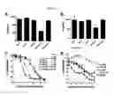 Fig. 03 - Interferon lambda-antibody complexes