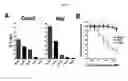Fig. 05 - Interferon lambda-antibody complexes