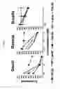 Fig. 06 - Interferon lambda-antibody complexes