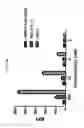 Fig. 13 - Interferon lambda-antibody complexes