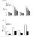 Fig. 11 - COMPOSITIONS, METHODS AND USES FOR ALPHA-1 ANTITRYPSIN OR DERIVATIVES THEREOF