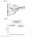 Fig. 13 - COMPOSITIONS, METHODS AND USES FOR ALPHA-1 ANTITRYPSIN OR DERIVATIVES THEREOF
