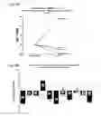 Fig. 14 - COMPOSITIONS, METHODS AND USES FOR ALPHA-1 ANTITRYPSIN OR DERIVATIVES THEREOF