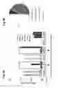 Fig. 05 - T cell receptors directed against Bob1 and uses thereof