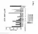 Fig. 07 - T cell receptors directed against Bob1 and uses thereof