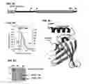 Fig. 05 - Immunogenic TP0751 fragments