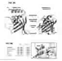 Fig. 06 - Immunogenic TP0751 fragments