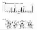 Fig. 08 - Immunogenic TP0751 fragments