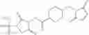 Fig. 08 - Nanocomplexes of modified peptides or proteins