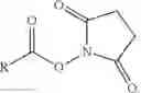 Fig. 09 - Nanocomplexes of modified peptides or proteins