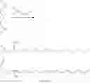 Fig. 23 - Nanocomplexes of modified peptides or proteins