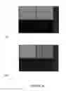 Fig. 13 - Compounds and methods for trans-membrane delivery of molecules