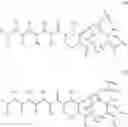 Fig. 176 - Antibody drug conjugates