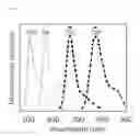Fig. 03 - Fluorescent dye compositions and uses thereof