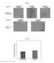Fig. 13 - Octapod iron oxide nanoparticles as high performance Tcontrast agents for magnetic resonance imaging