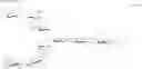 Fig. 14 - Sugar chain-polypeptide complex