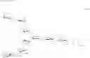Fig. 64 - Sugar chain-polypeptide complex