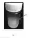 Fig. 03 - PROTEIN BASED MATERIALS