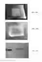 Fig. 11 - PROTEIN BASED MATERIALS